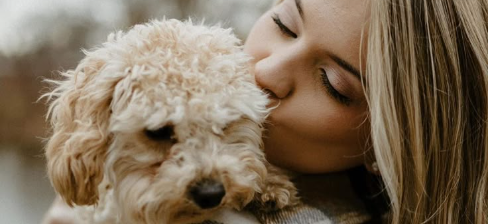 Карта и офис